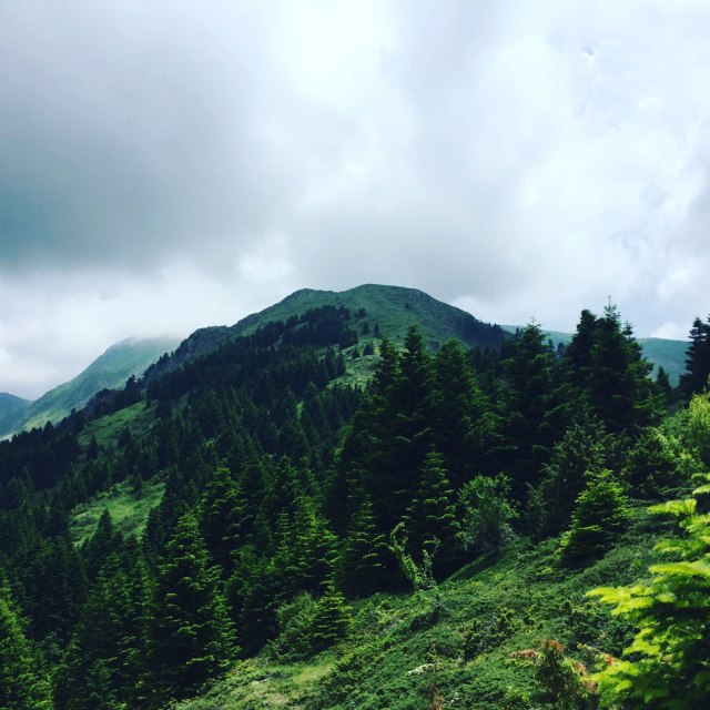 Agrafa_Voutsikaki_34