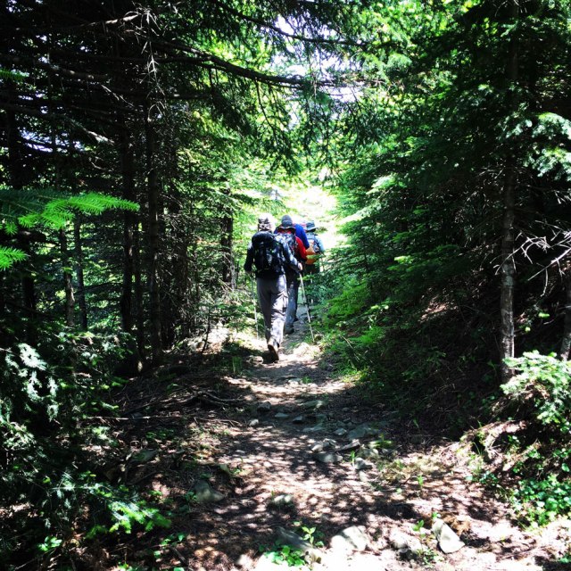 Agrafa_Voutsikaki_36