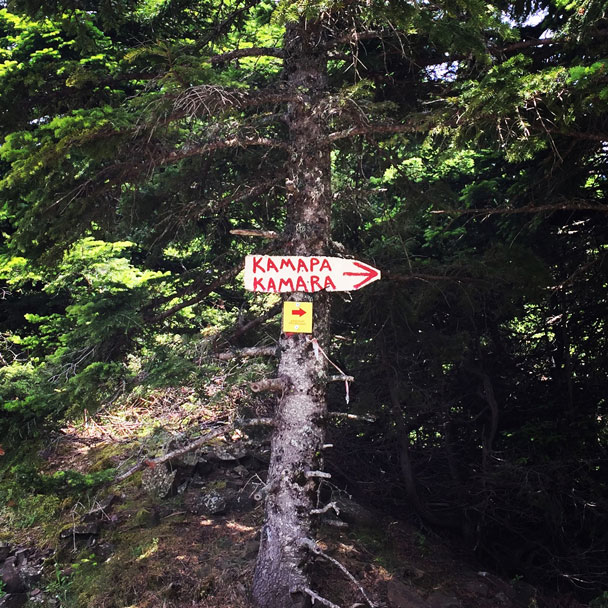 Agrafa_Voutsikaki_37