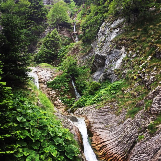 Agrafa_Voutsikaki_39