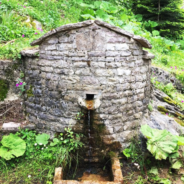 Agrafa_Voutsikaki_40