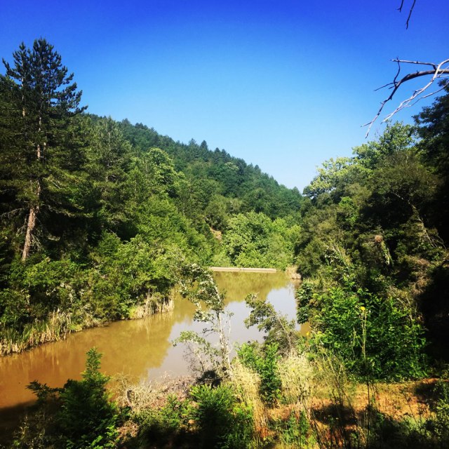 Skiritida_Forest_Vlachokerasia_12