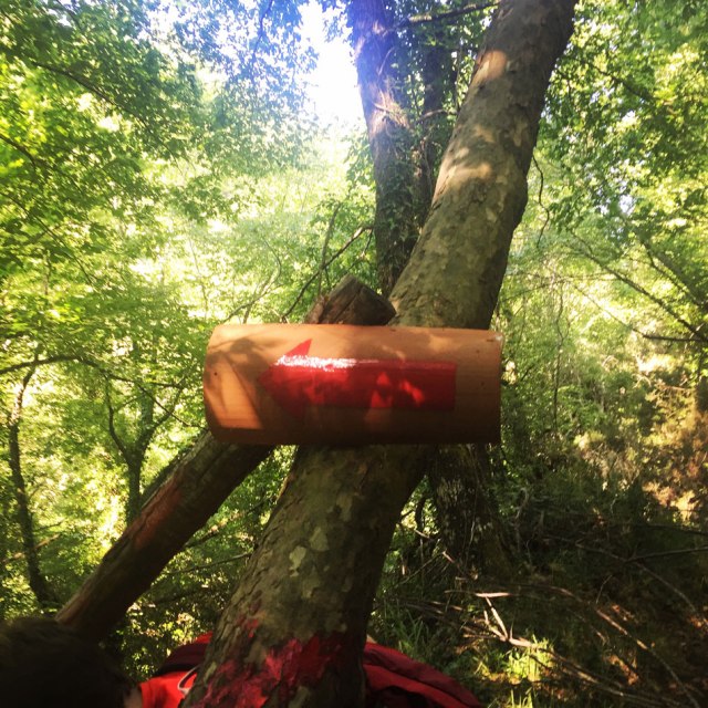 Skiritida_Forest_Vlachokerasia_14