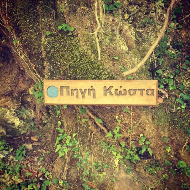 Skiritida_Forest_Vlachokerasia_16