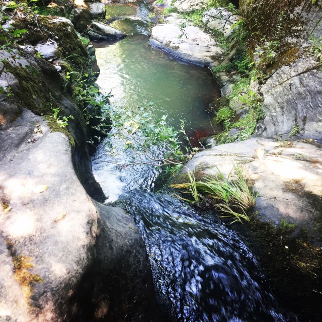 Skiritida_Forest_Vlachokerasia_18