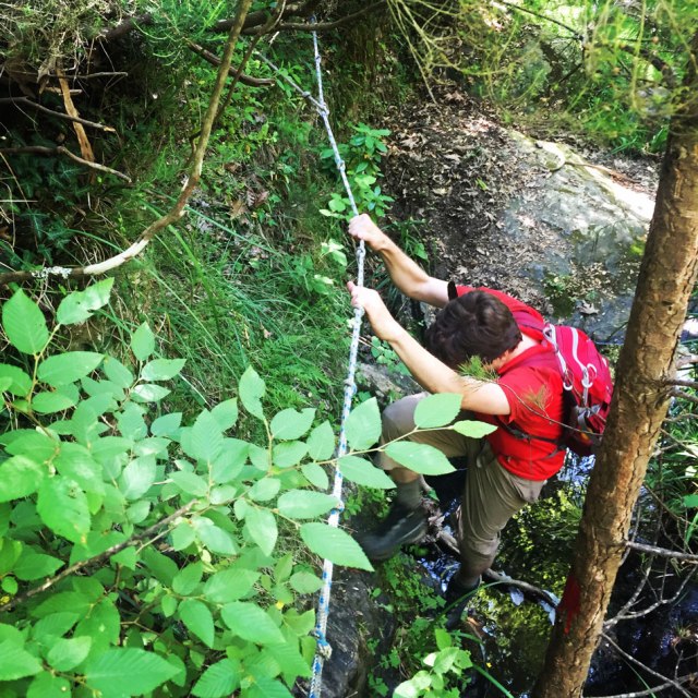 Skiritida_Forest_Vlachokerasia_24