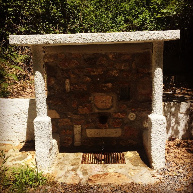 Skiritida_Forest_Vlachokerasia_25