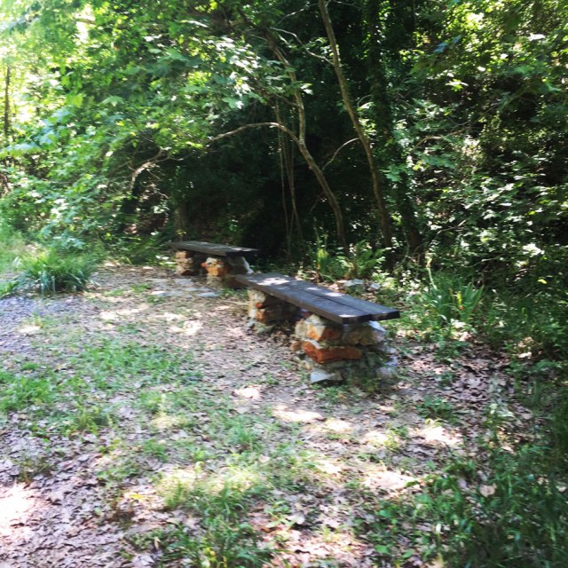 Skiritida_Forest_Vlachokerasia_26