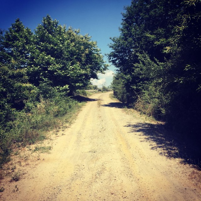 Skiritida_Forest_Vlachokerasia_27