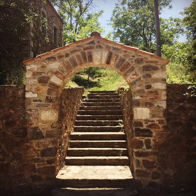 Skiritida_Forest_Vlachokerasia_29