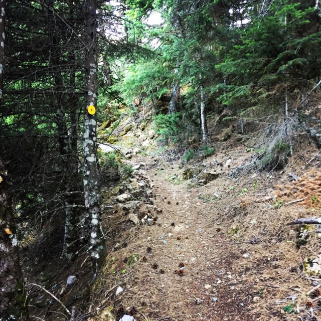 Mount_Pentelia_Dourdouvana_05