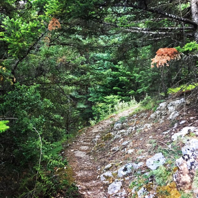 Mount_Pentelia_Dourdouvana_06