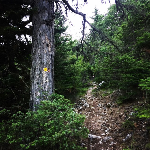 Mount_Pentelia_Dourdouvana_09