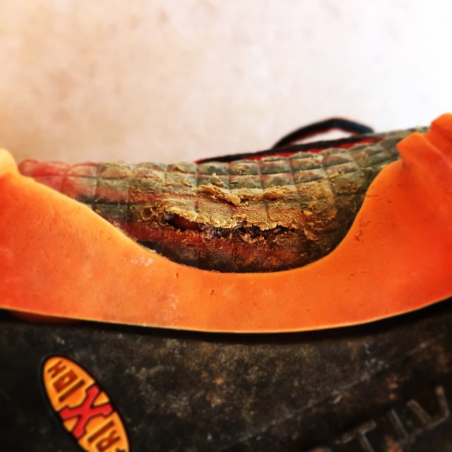 LaSportiva_Bushido_Review_0799