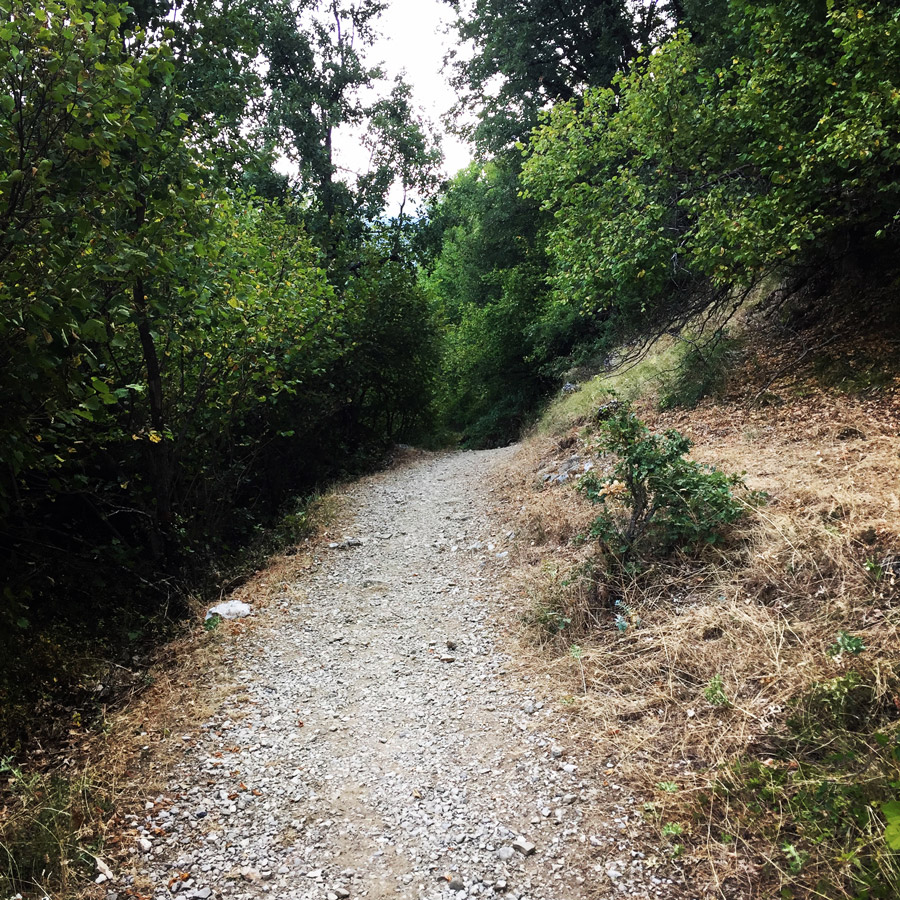 Mount_Tymfi_(Pindos)_Thru-Hike_Part_02_0650