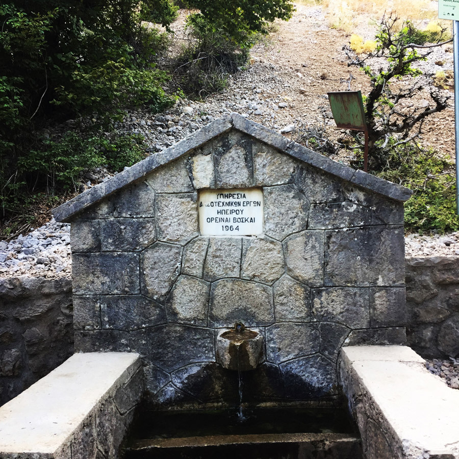 Mount_Tymfi_(Pindos)_Thru-Hike_Part_02_0653