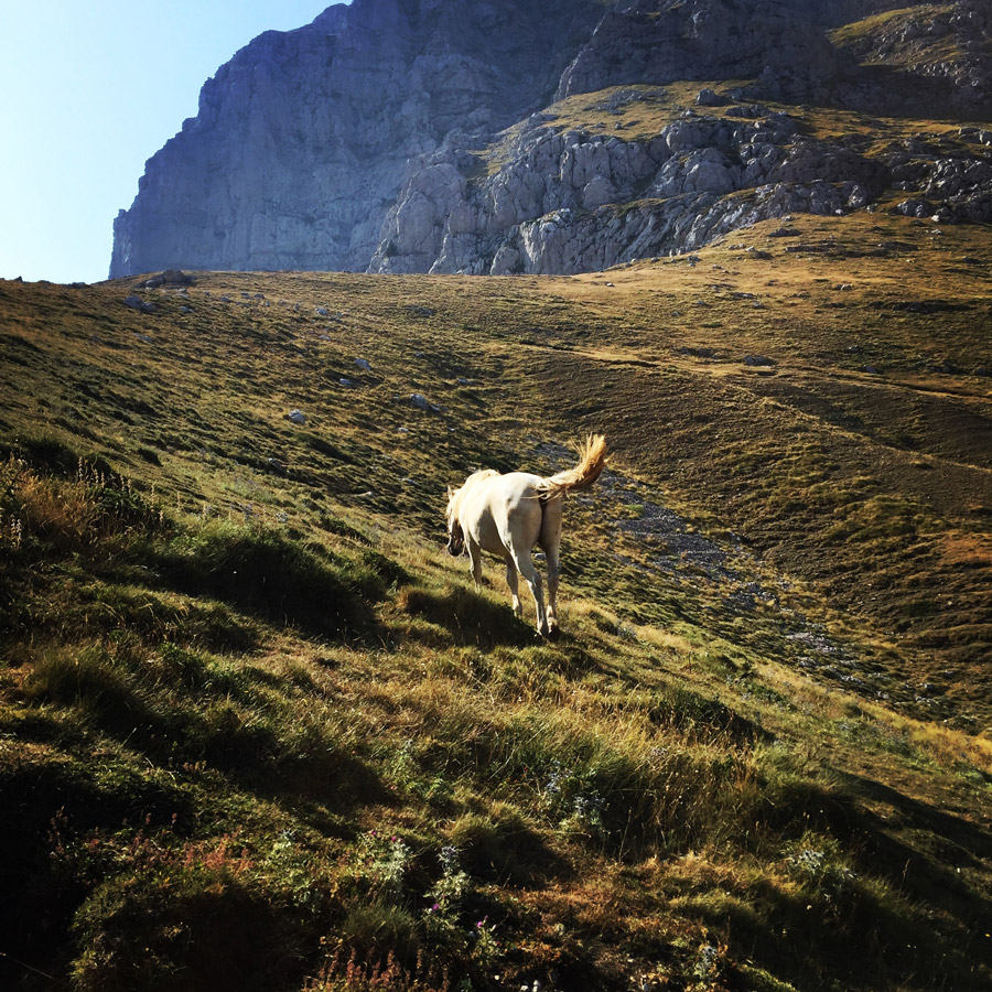Mount_Tymfi_(Pindos)_Thru-Hike_Part_02_0665