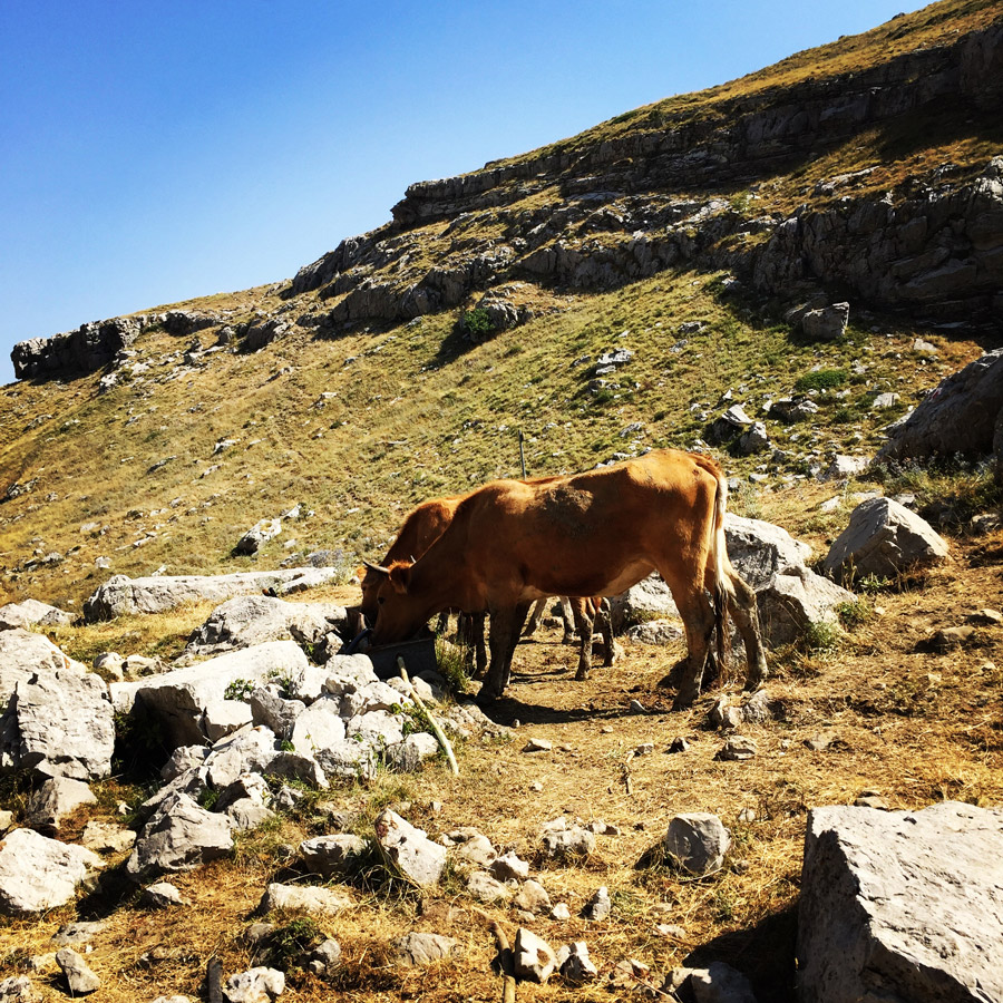Mount_Tymfi_(Pindos)_Thru-Hike_Part_02_0681