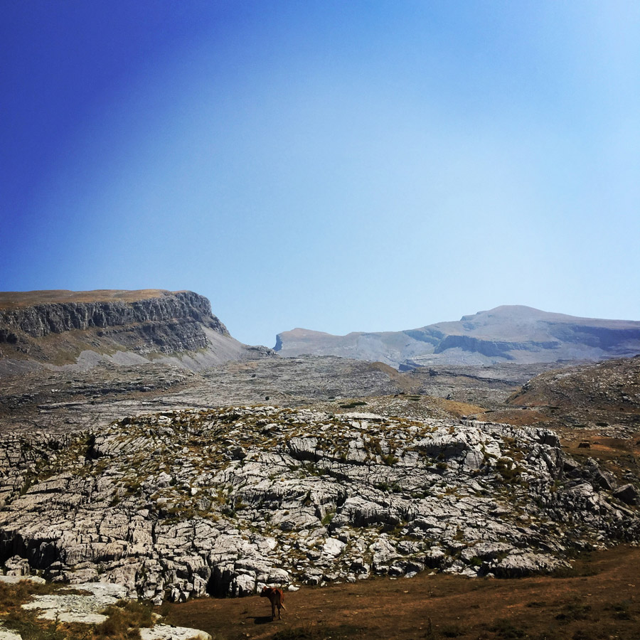 Mount_Tymfi_(Pindos)_Thru-Hike_Part_02_0685