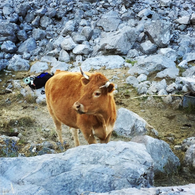 Mount_Tymfi_(Pindos)_Thru-Hike_Part_04_Gamila_0718