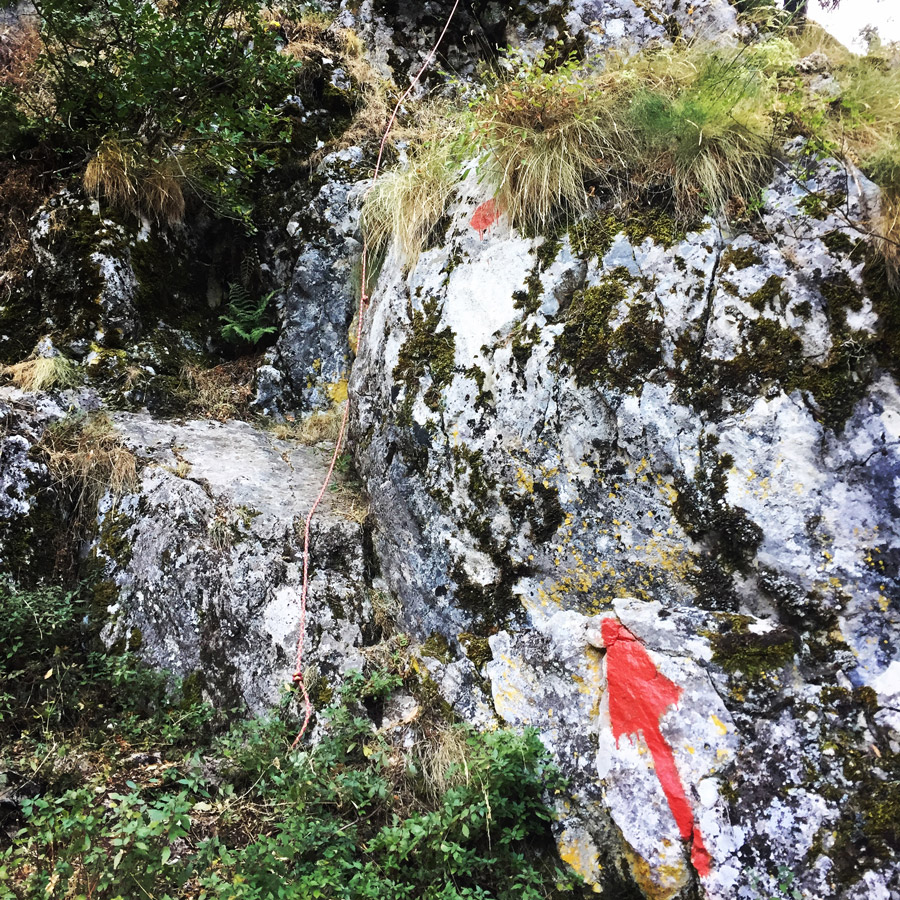 Mount_Aselinon_Giona_Karagianni_2017_1483