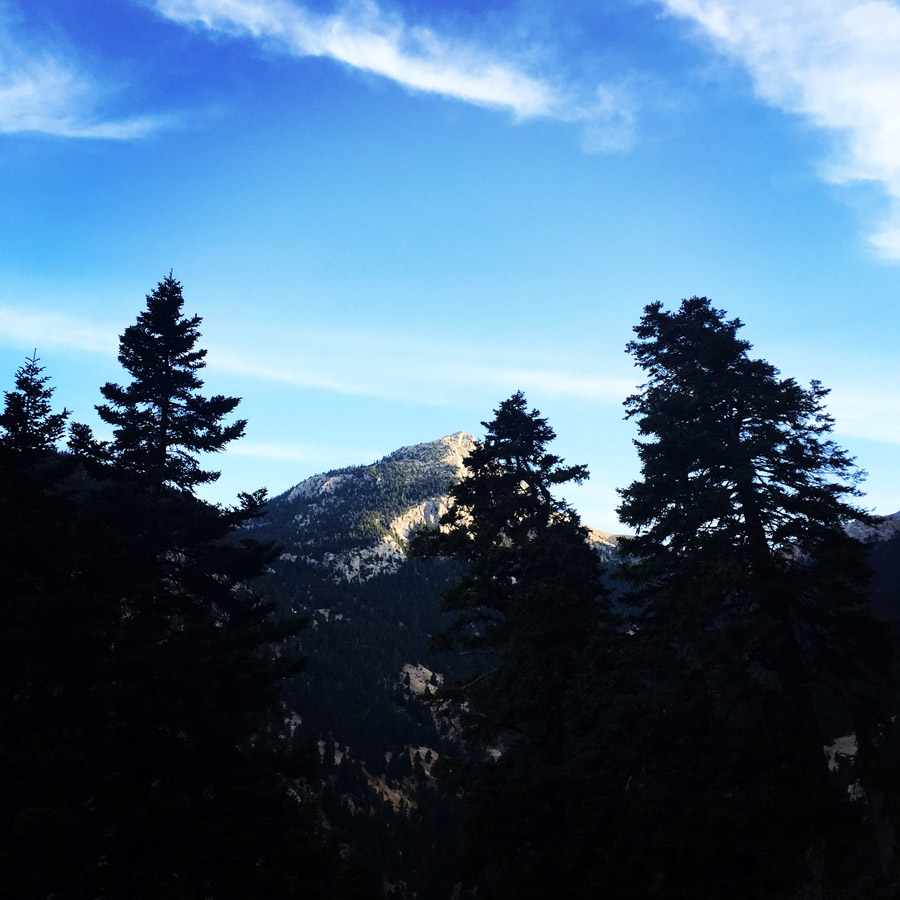 Mount_Aselinon_Giona_Karagianni_2017_1484