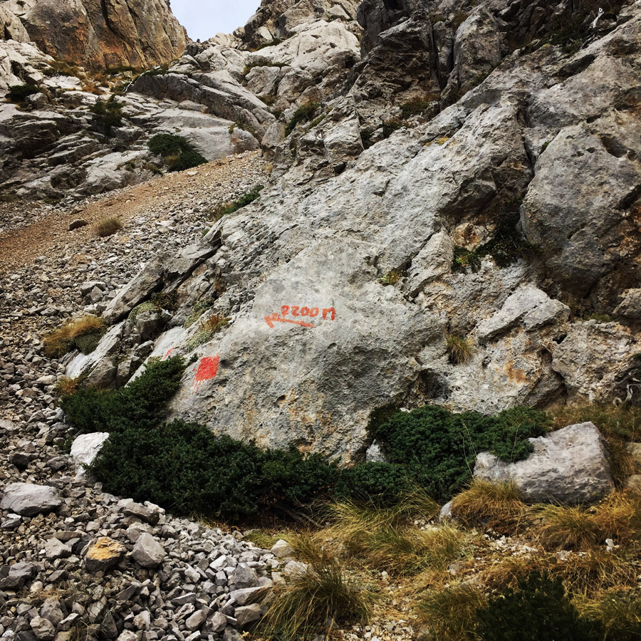 Mount_Aselinon_Giona_Karagianni_2017_1503