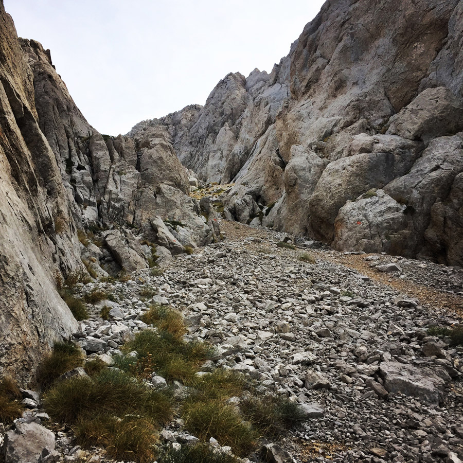 Mount_Aselinon_Giona_Karagianni_2017_1506