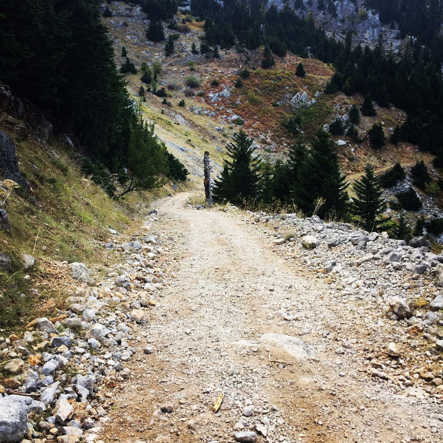 Mount_Aselinon_Giona_Karagianni_2017_1525