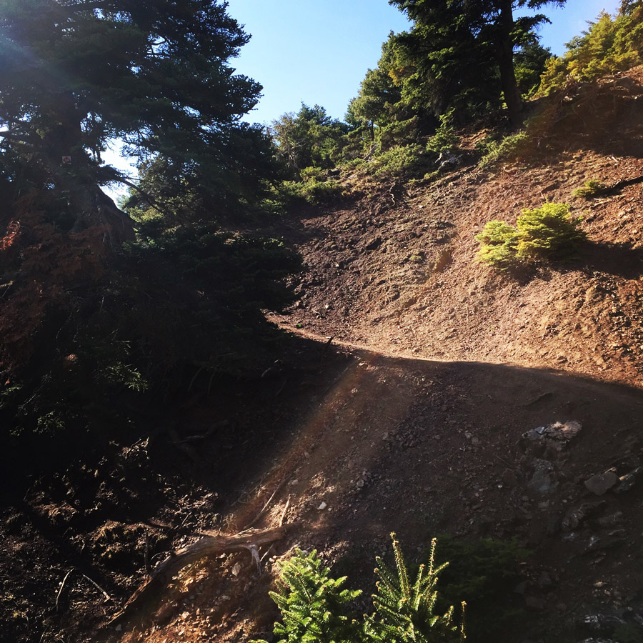 Scrambling_In_Artemisio_2006