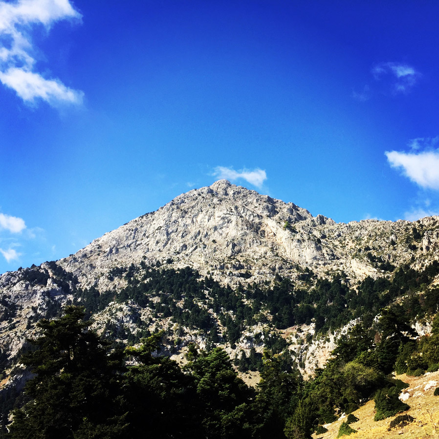 Scrambling_In_Artemisio_2012