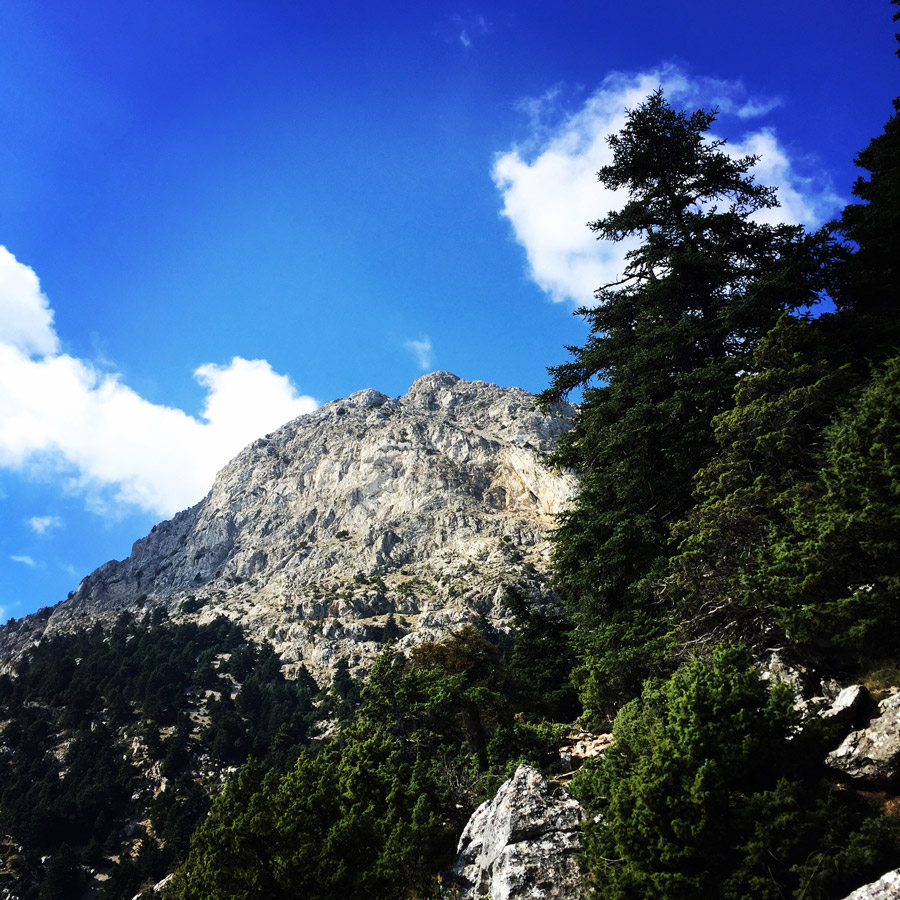 Scrambling_In_Artemisio_2013