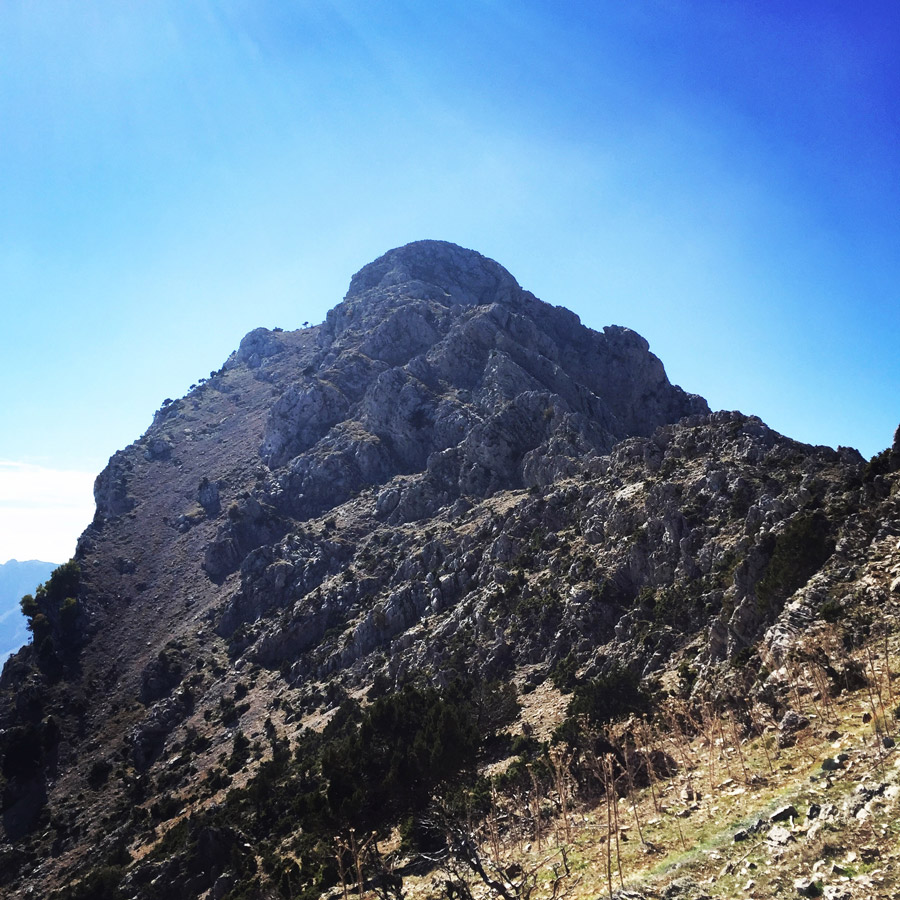 Scrambling_In_Artemisio_2015