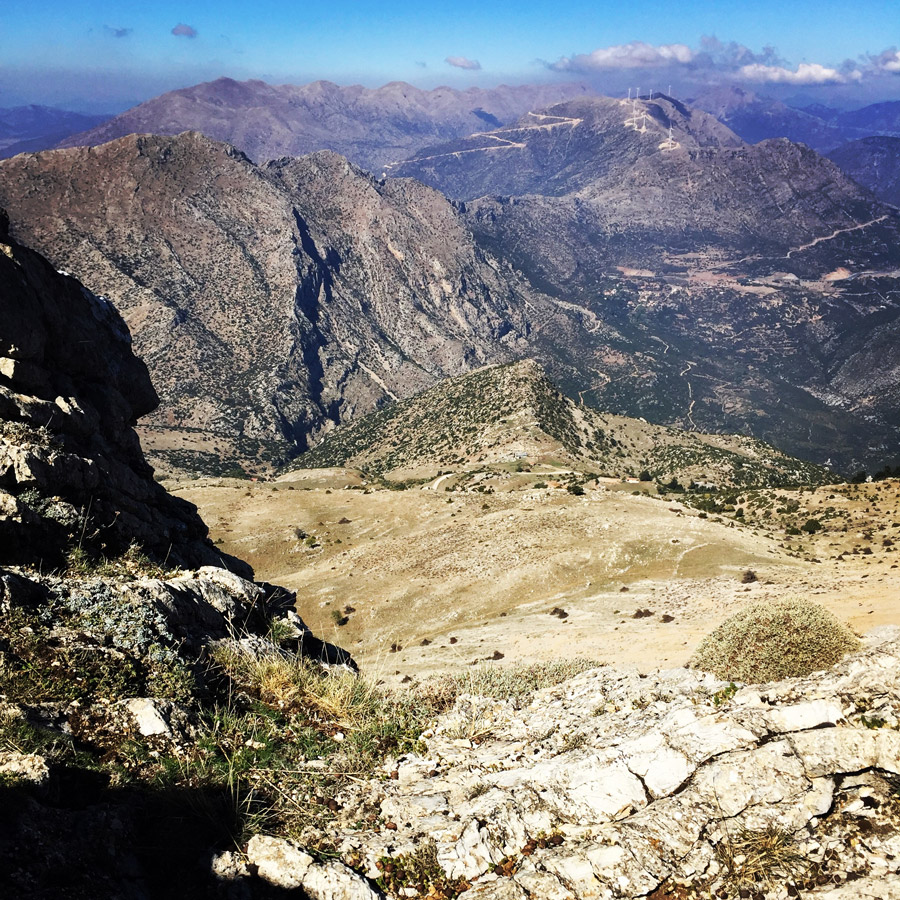 Scrambling_In_Artemisio_2016