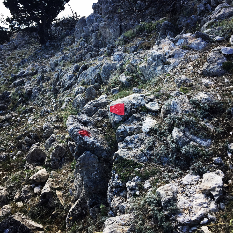 Scrambling_In_Artemisio_2027