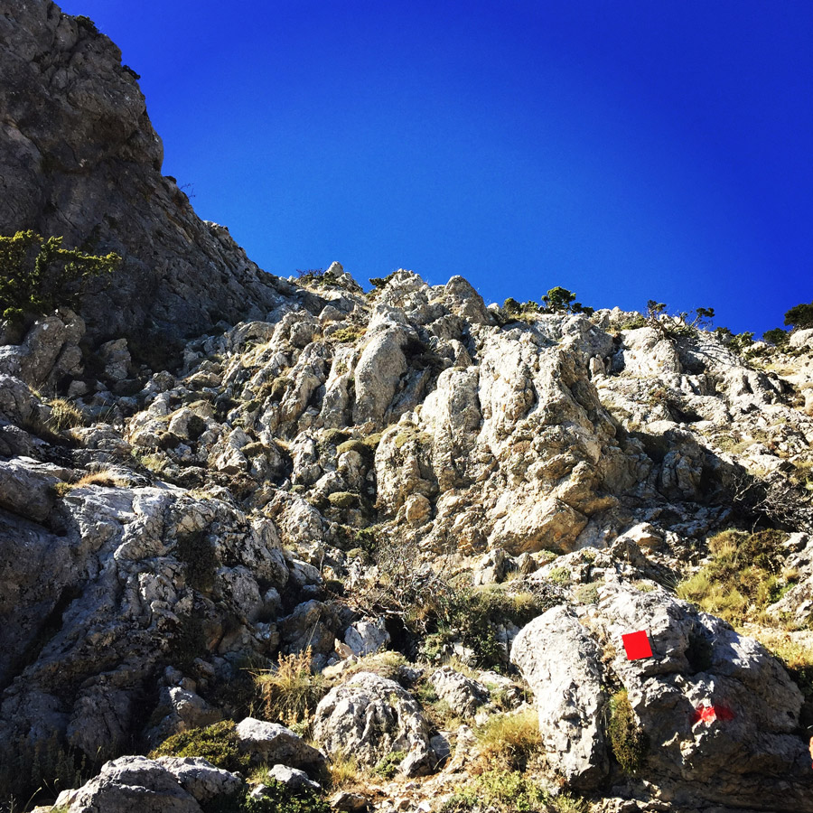 Scrambling_In_Artemisio_2029