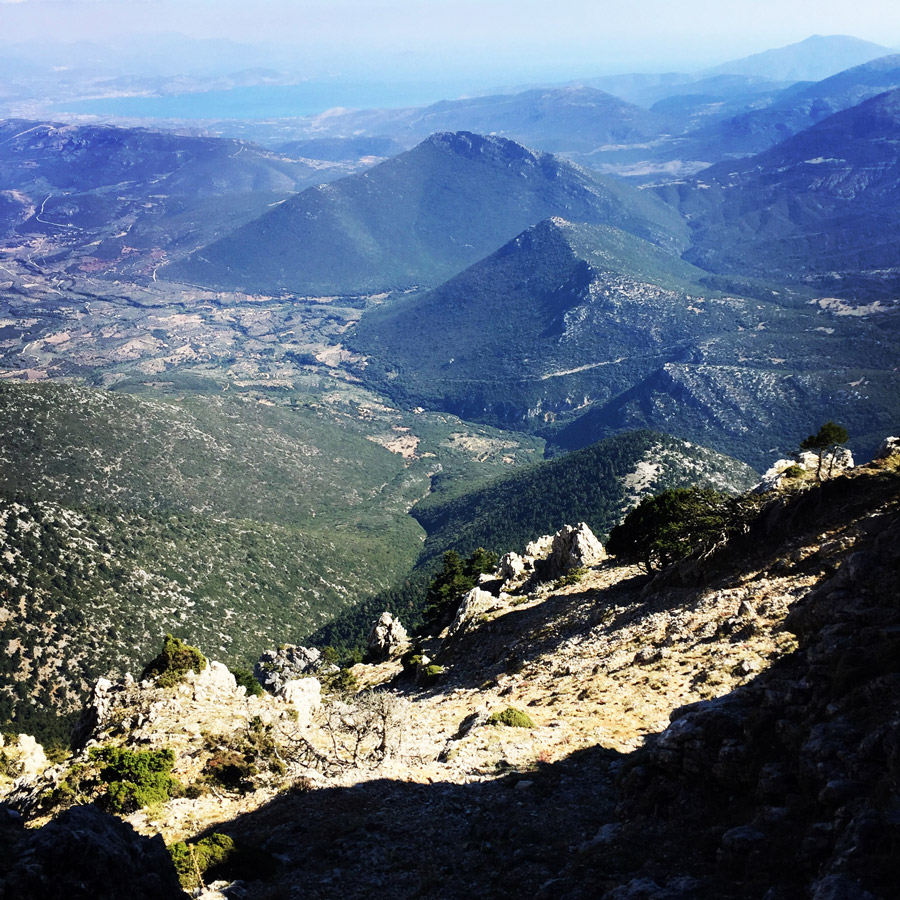 Scrambling_In_Artemisio_2031