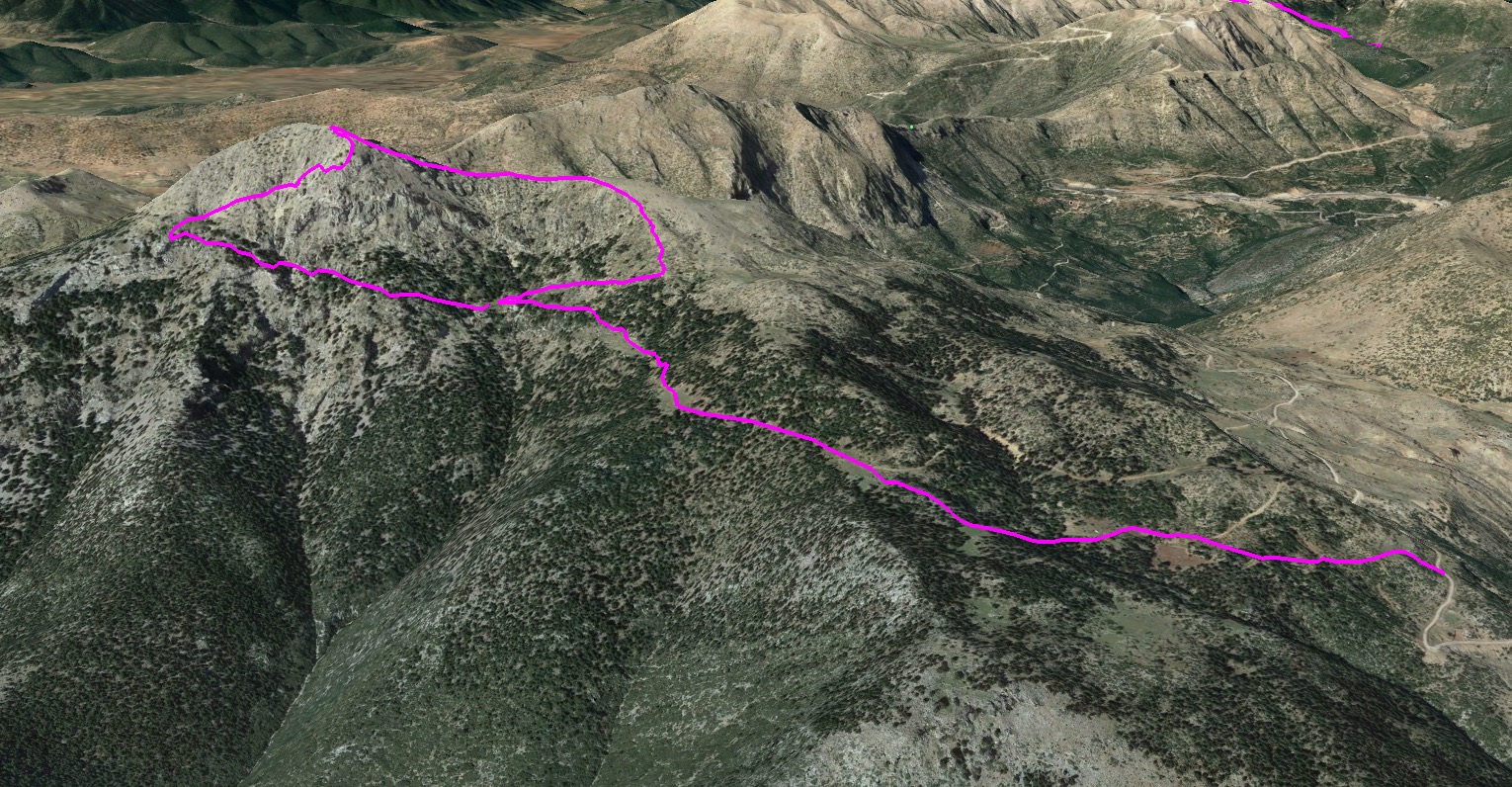 Scrambling_In_Artemisio_3D