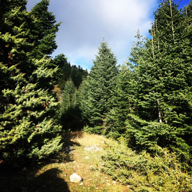 Agrafa_PanagiaPelekiti_Karamanoli_Neraida_Hiking_3485