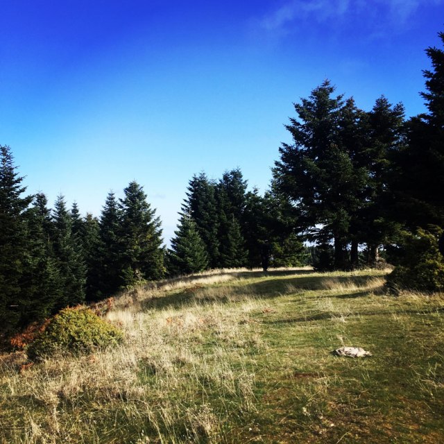 Agrafa_PanagiaPelekiti_Karamanoli_Neraida_Hiking_3497