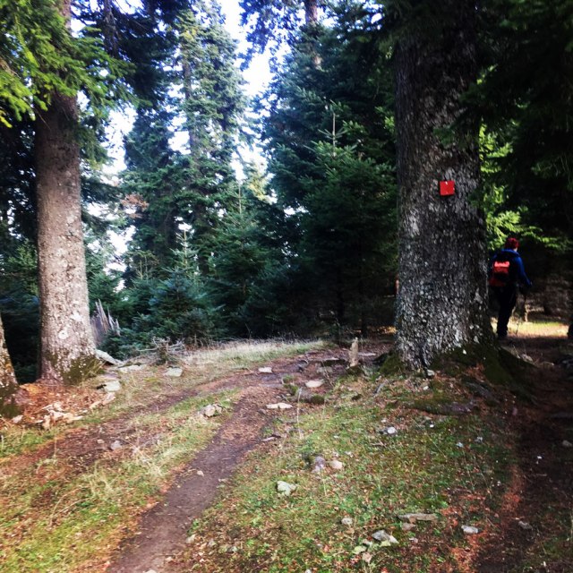 Agrafa_PanagiaPelekiti_Karamanoli_Neraida_Hiking_3499