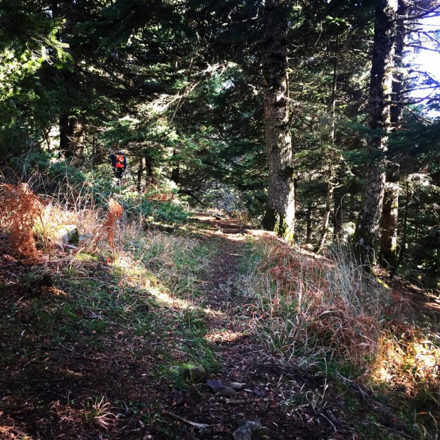 Agrafa_PanagiaPelekiti_Karamanoli_Neraida_Hiking_3501