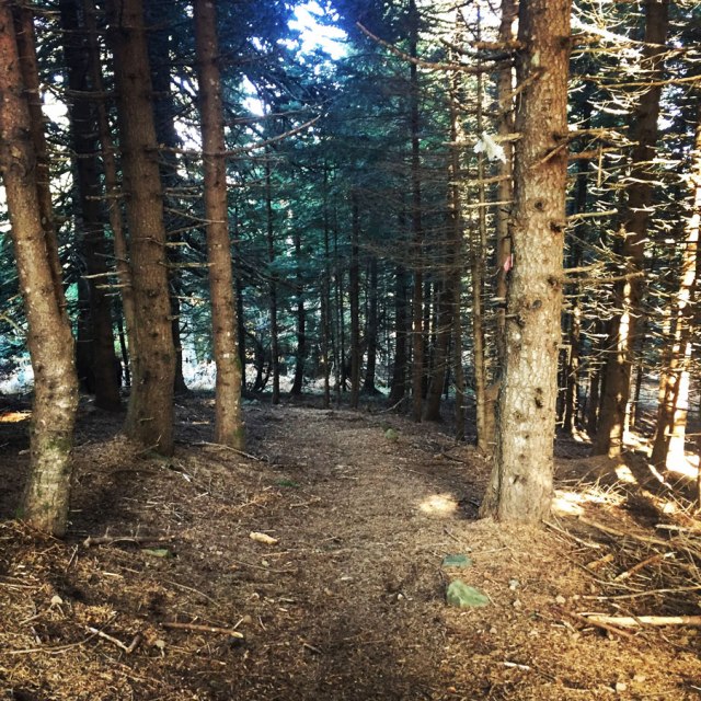 Agrafa_PanagiaPelekiti_Karamanoli_Neraida_Hiking_3503