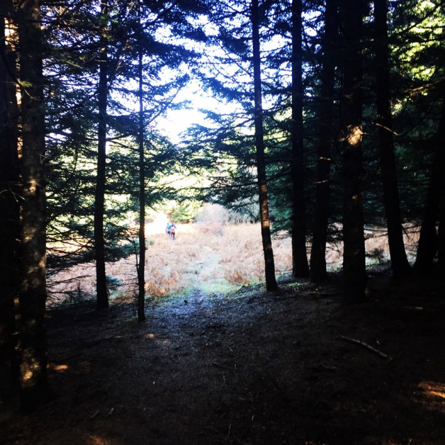 Agrafa_PanagiaPelekiti_Karamanoli_Neraida_Hiking_3504