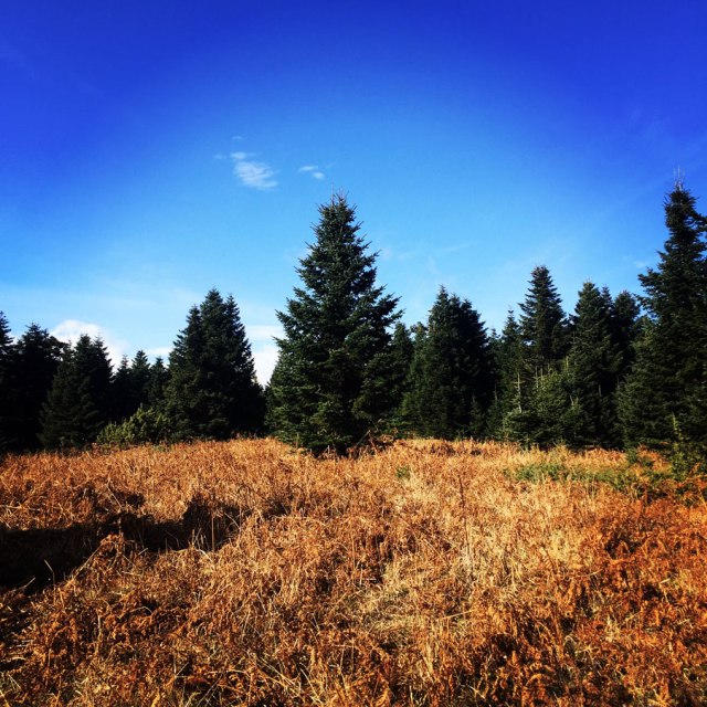 Agrafa_PanagiaPelekiti_Karamanoli_Neraida_Hiking_3505