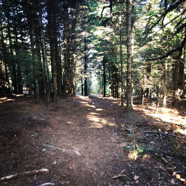 Agrafa_PanagiaPelekiti_Karamanoli_Neraida_Hiking_3506