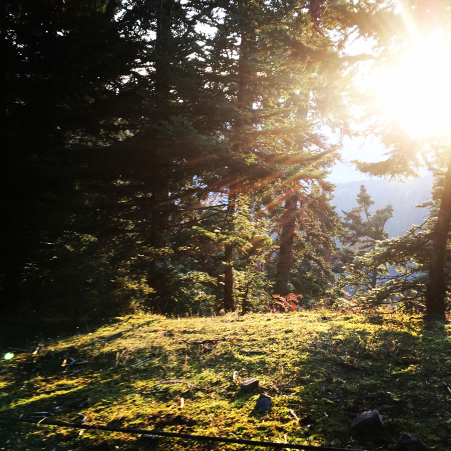 Agrafa_Svoni_Pouli_Papadimitri_Hiking_3438