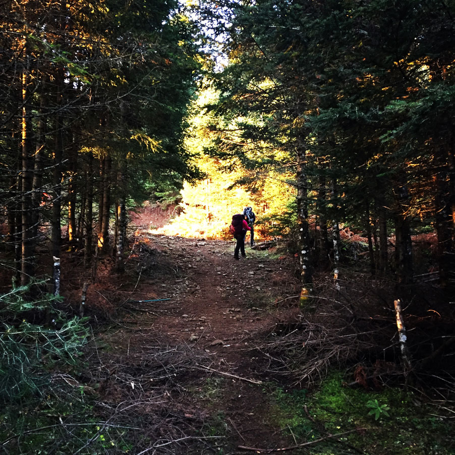 Agrafa_Svoni_Pouli_Papadimitri_Hiking_3439