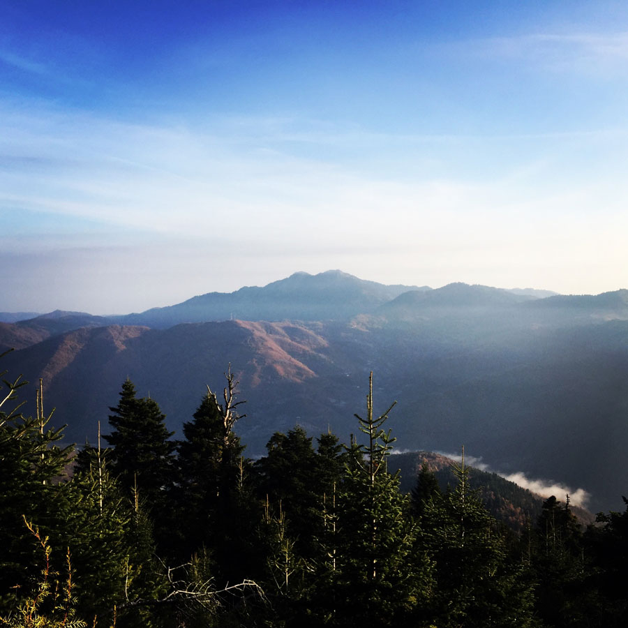 Agrafa_Svoni_Pouli_Papadimitri_Hiking_3444