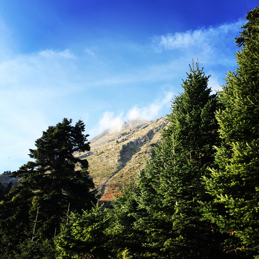 Agrafa_Svoni_Pouli_Papadimitri_Hiking_3445